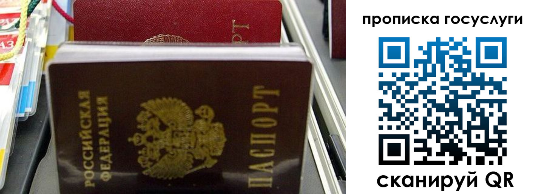 где прописаться в Владимирской области